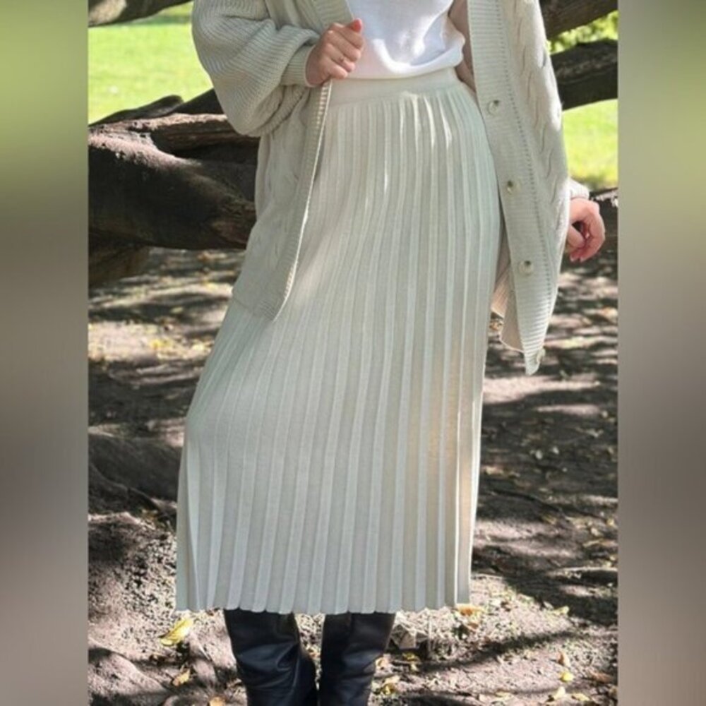 Uniqlo Chiffon Pleated Long Skirt (c)
